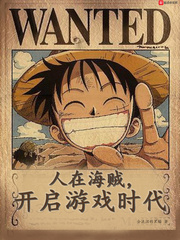 人在海贼，开启游戏时代txt下载